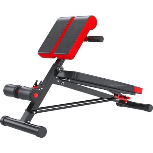 Multifunctional Weight Bench Fitness Chair, Adjust Sit Up Bench Roman Chair 5-Level Adjust Load Bearing 551Lbs Black and Red