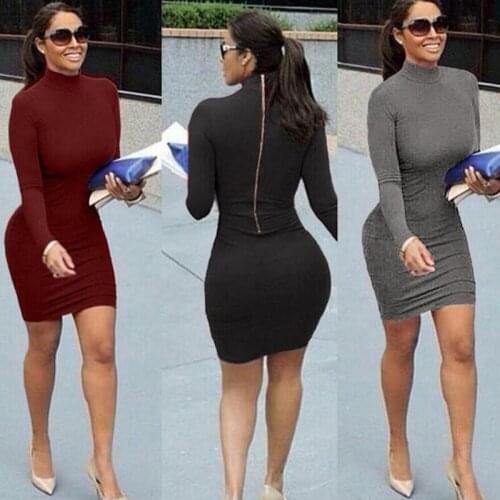 High Elastic Long Sleeve Package Buttocks Tight Dress Back Zipper Sexy Turtle Neck Skinny Dress for Women