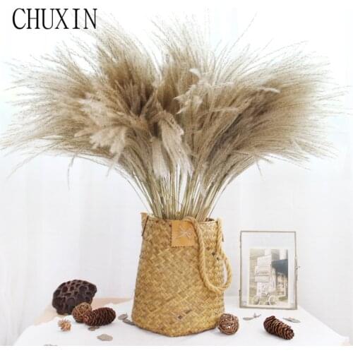 100pcs Pampas Grass Natural Dried Flowers Reed Christmas Decor For Family Banquet Wedding Arrangements Dried Flower Decorations