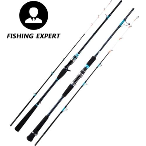 Carbon Luminous Solid Boat Rod Octopus Iron Plate Slow Rocking Jigging Rod Offshore Squid Carp Fish Pole FUJI Guide Japan Tackle