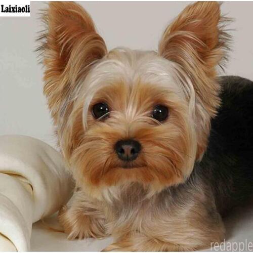 Diamond Embroidery,Animal,Yorkshire Terrier Dog Diamond Painting,Cross Stitch,Diamond Mosaic,Needlework,Crafts,kids Christmas