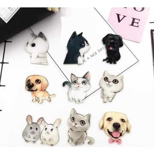 PGY Acrylic Animal Kawaii Cat Brooch Dog Hamster Brooch for Women Pin Badges Fashion Dress Childrens jacket Coat Accessories