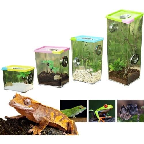 Reptile Breeding Box Clear Acrylic Reptile Terrarium Feeding Box For Spider Scorpion