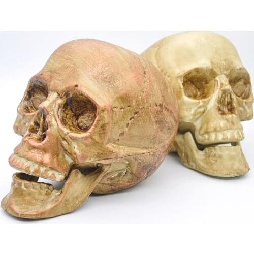 Sketch Art Medical Research Artificial Skull Skull Halloween Home Decoration Model Garden Statue Personality Art Statue Model