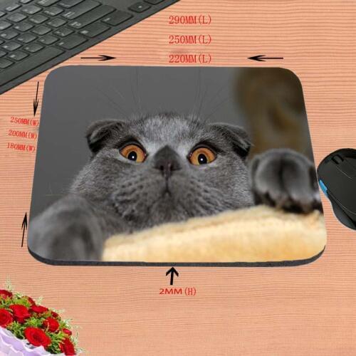 Animal Series Of Cute Little Mouse Office Computer Mouse Pad Notebook Cushion Antiskid Rectangular Rubber Game, As A