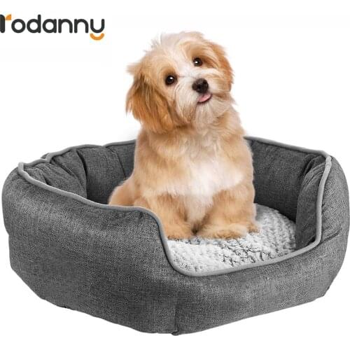 RODANNY Products For Dogs