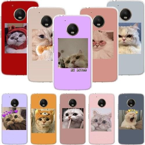 Super Lovely Cat Kitten Cute Funny Phone Case For Motorola Moto G9 G8 G7 G6 G5 E6 E5 E4 Plus Play Power One Action Macro Coque C
