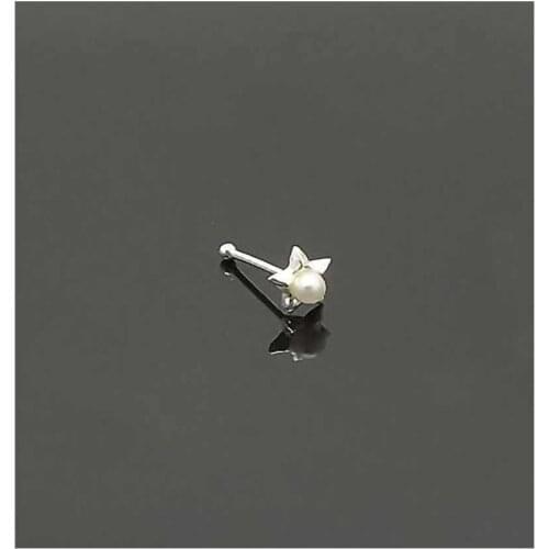 The moon the stars Silver Lady Speed up