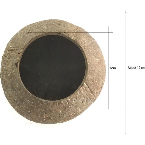 Natural Coconut Bowl Decoration Fruit Salad Noodle Rice Bowl Wooden Fruit Bowl Handicraft Decoration Creative Coconut Shell Bowl