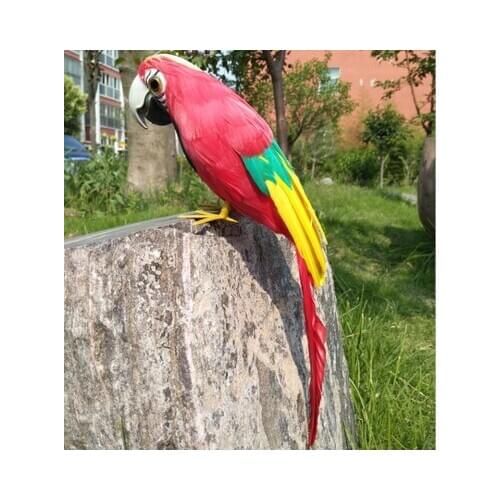 About 32cm colourful red feathers parrot model stage prop,garden decoration birthday gift w0957