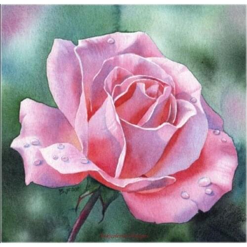 Counted Cross Stitch Kits Needlework Embroidery - Crafts 14 ct Aida DMC Color DIY Arts Handmade Home Decor - Watercolor Rose