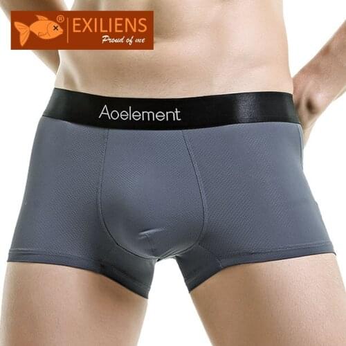 EXILIENS New Boxer Men Underwear Mesh Cueca Masculina Ropa Interior Hombre Boxers Mens Boxershorts Calzoncillos Slip Size L-3XL