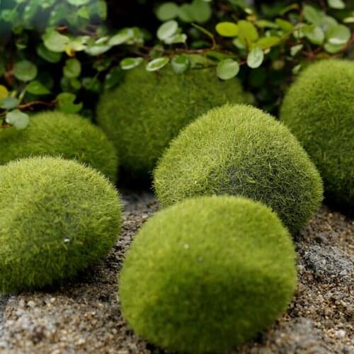 Garden Micro Landscape Grass Home Outdoor Backyard Aquarium Decor Miniature Fairy Decoration Accessories Resin Modern