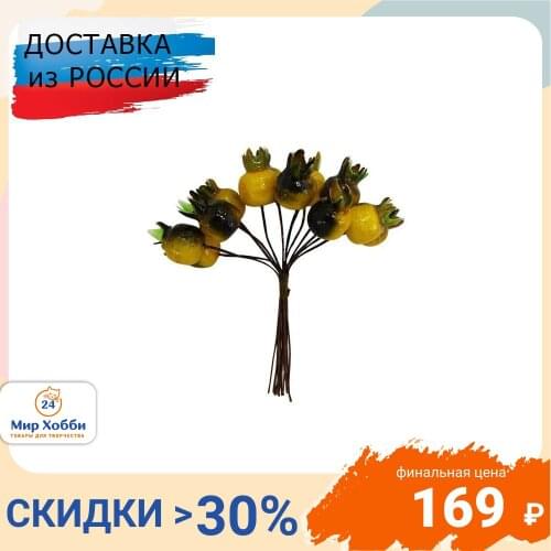 Астра Artificial Fruit