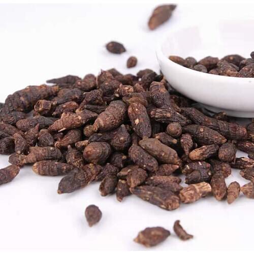 Nutgrass Flatsedge Rhizome Rhizoma Cyperi （xiang fu） China Herbal