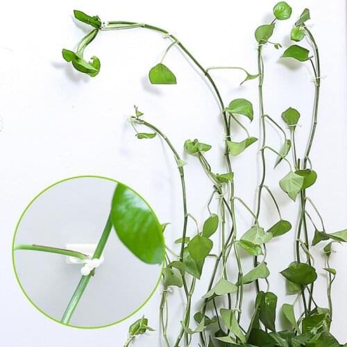 1PC Invisible Wall Rattan Clamp Clip Invisible Wall Vine Climbing Sticky Hook Rattan Fixed Clip Bracket Plant Stent Supports Hot