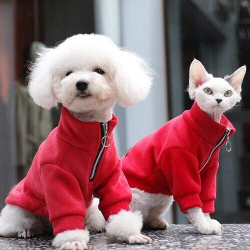 Pet Products Keep Warm Clothes For Dogs Pomeranian Cute Costume Suit For Cats Winter Thicken Dog Sweater Clothing Accessories