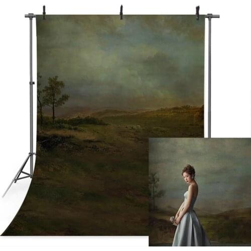 Vintage Old Master Photography Backdrop Photo Studio West Abstract Wild Texture Background Wedding Bridal Portrait Backdrops