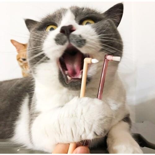 Cat Toothbrush Small Pointed Single Bundle Toothbrush Multi-faceted Cleaning Cat Cleaning Supplies Cat Accessories