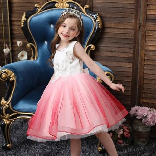 Korean Version of Childrens Dress Skirt Flower Girl Dress Puff Skirt Sleeveless Costume Pastoral Girl Dress Princess Dress