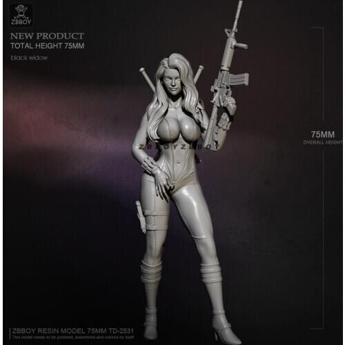 H75mm 1/24 Resin model kits figure beauty self-assembled TD-2531
