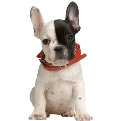 A0600# 13cm/17cm Removable Decal French Bulldog Puppy Dog Car Sticker Waterproof Accessories on Bumper Rear Window