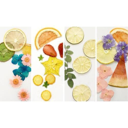 Mixed Pressed Dried Fruits + Flowers Plant Herbarium For Jewelry Phone Case Bookmark Scrapbook Invitation Card Making Materials