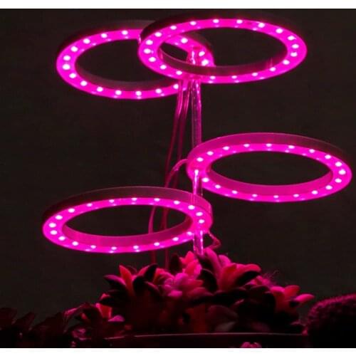 LED Indoor Grow Light Set Led Ring Plant Light Full Spectrum Plant Growing Lamp with 24H Cycle Auto Timing Switch Adjustable