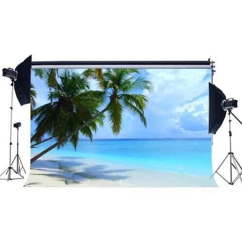 Seaside Sand Beach Backdrop Coconut Palm Blue Sky White Cloud Nature Romantic Summer Background Lover Wedding