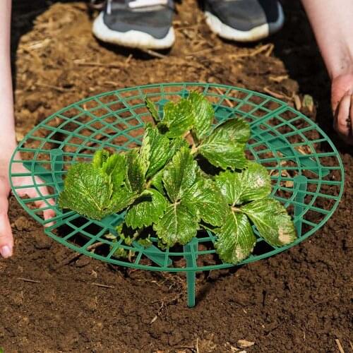 5/10/15/20PCS Strawberry Stand Frame Holder Balcony Planting Rack Fruit Support Plant Flower Climbing Vine Pillar Gardening Tool