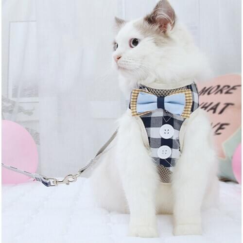 Hachikitty Collars For Cats