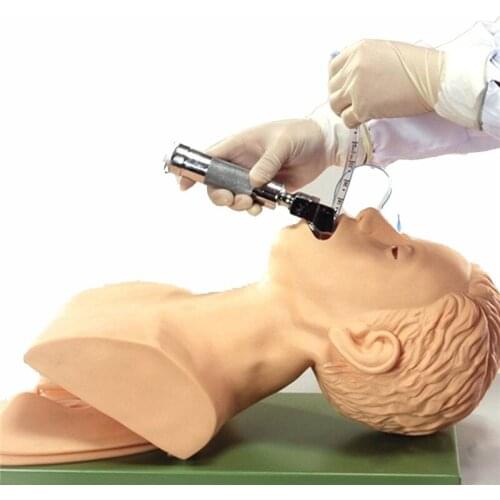 KICUTE Anatomical Models