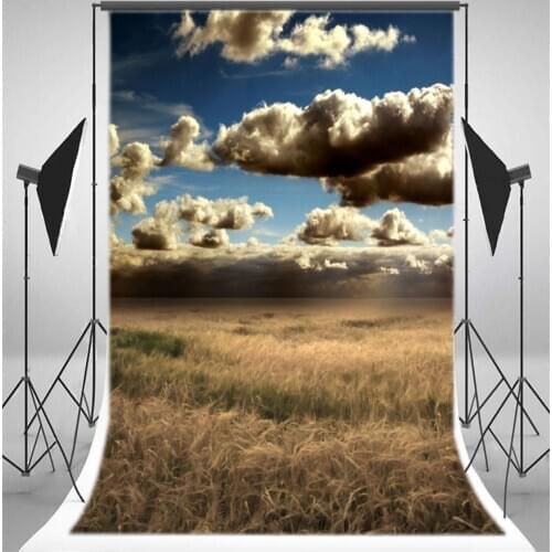 Photography Backdrop Nature Landscape Wheat Field Blue Sky White Cloud Ric Autumn