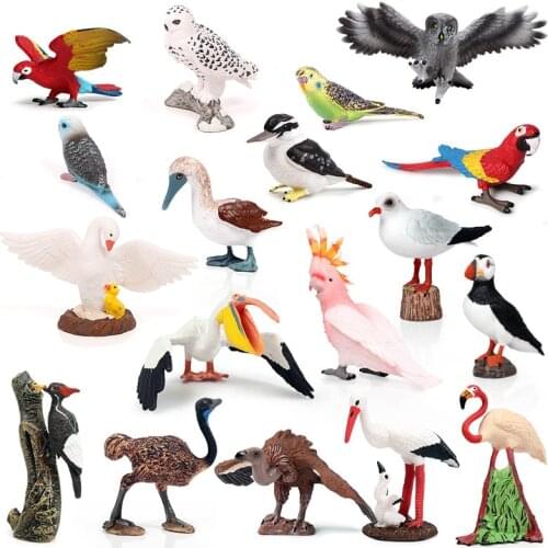 Bird Models Sea Eagle Parrot Turkey Bird Paradise Flamingos Macaw Sea Gull garden decoration PVC Animal action figures Kid Toys