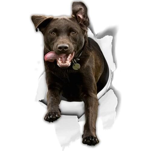 A0523# 13cm/17cm Removable Decal BLACK LABRADOR Car Sticker Waterproof Accessories on Bumper Rear Window Laptop
