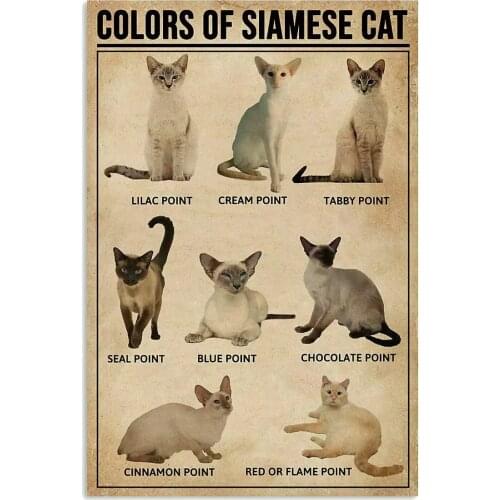 Siamese cat poster color decoration bedroom kitchen metal can logo retro metal tin home logo