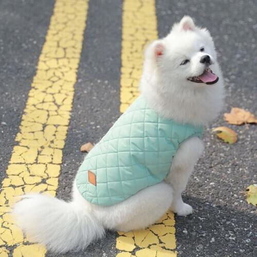 Thicken Fall Winter Extra Warm Dog Vest Small Dog Jacket Puppy Coats Pet Fashion Decoration Wear Simple Design Clothing