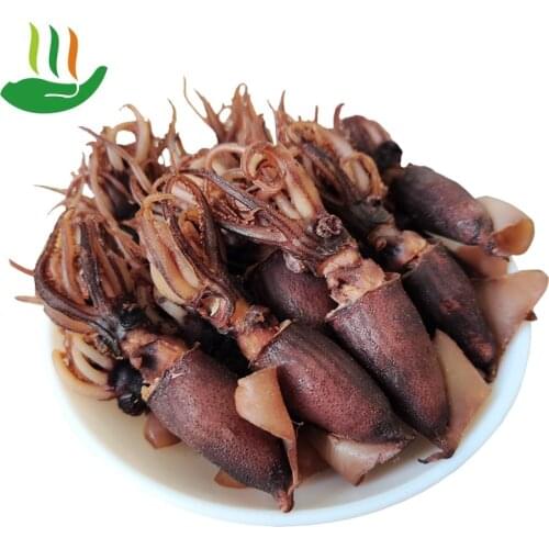 Dried Sea Hare, Dried Squid, Dried Pen Tube Fish, Small Squid, Dried Cuttlefish, Dried Seafood