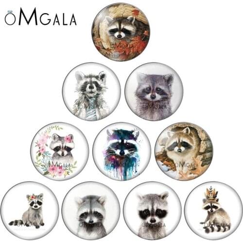 Art Paintings Raccoon Animals Patterns 8mm/10mm12mm/18mm/20mm/25mm Round photo glass cabochon demo flat back Making findings