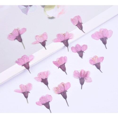 2-3cm/24pcs,Natural Real Touch Side pressed cherry flowers,sakura petals DIY Bookmark Gift Card,Flores secas Facial nail Decor