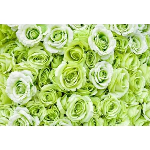 Green Rose Flower Backdrop Wedding Newborn Baby Bridal Photography Backgrounds Photo Booth Studio Prop