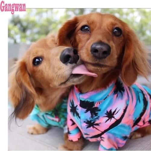 Dachshund dog Diamond Painting cute pets Full Square Resin Picture of rhinestones Diamond Embroidery puppies Mosaic home decor