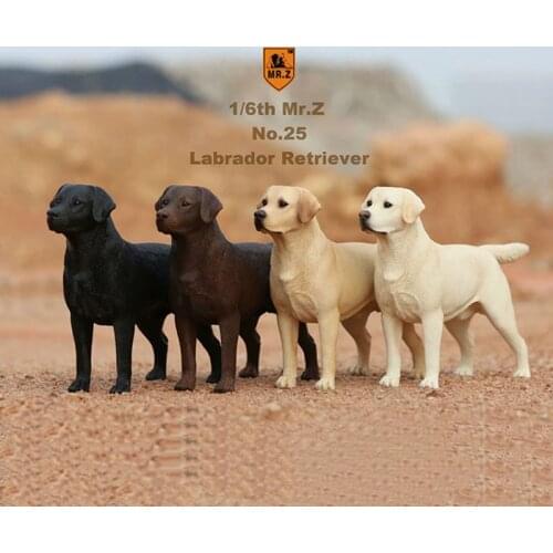Mr.Z 24cm 1/6 Scale Simulation Animal Standing walking Pet labrador retriever dog Model Toy Gift Model Car Scene Decoration