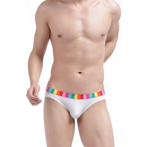 Sexy brief gay underwear good quality 100% cotton rainbow male briefs