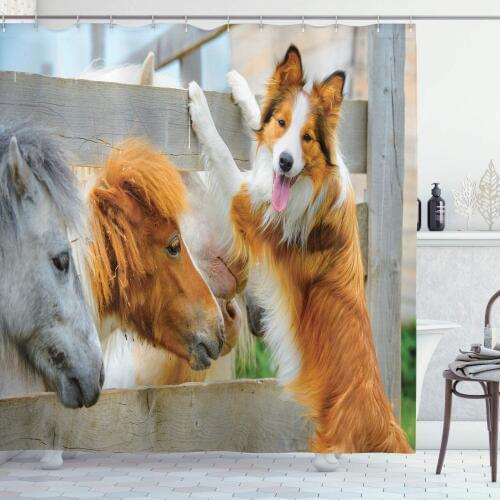 Amber Tan Grey Nature Shower Curtain Pony and Border Collie Dog are Dating Friendship Companionship Themed Nature