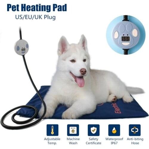 DUSTPROOFVEIL Products For Dogs