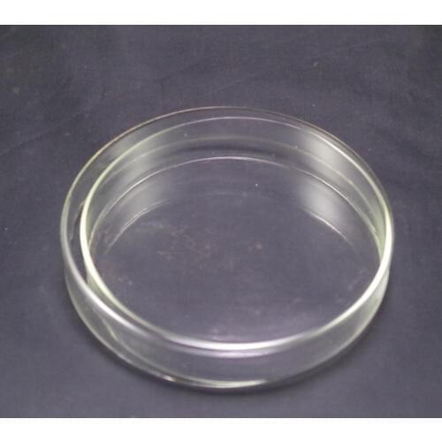 120mm Petri dishes with lids clear glass 1pcs new