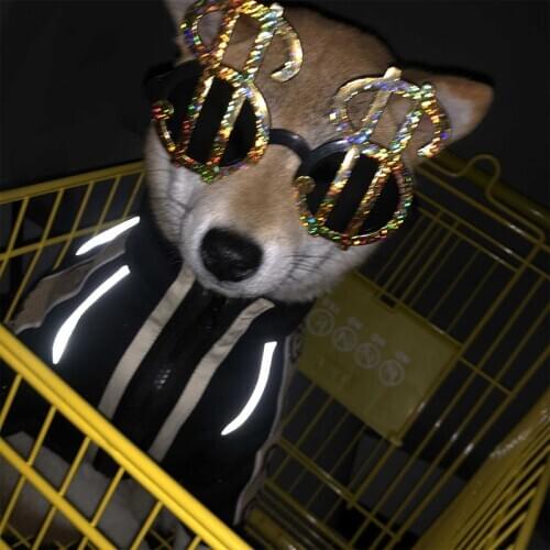 Dog Clothes for Small Dogs Reflective Coat for French Bulldog Puppy Jacket Pet Clothing Outfit PC1169