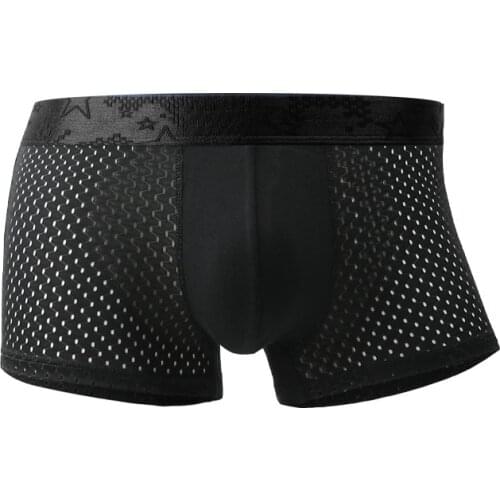 Sexy Men Boxers Underwear Gay Mesh Panties Ice Silk Comfortable Pouch Underpants Male Boxershorts Ropa Interior Hombre Plus Size