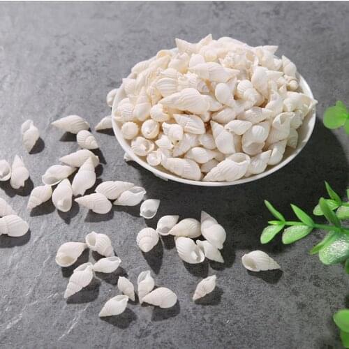 Sea Shells Shell Craft Aquarium Nautical Decor Ornaments natural mini conch mediterranean 1cm-3cm